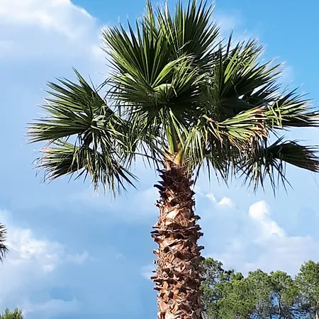 פארק נופש Les Parasols D'argens *